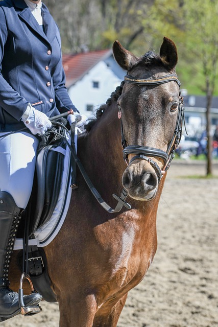之有趣首